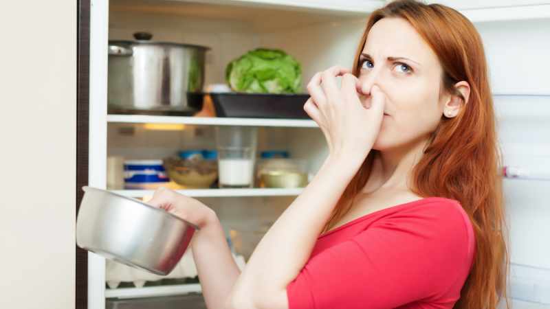 냉장고 냄새, 탈취기능 vs 탈취제 뭐가 좋을까?