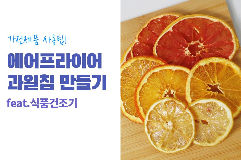 encyclopedia_에어프라이어 과일칩 만들기(feat.식품건조기)